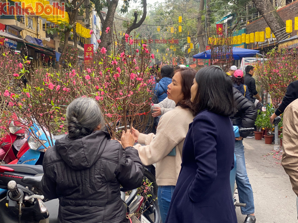 [Ảnh] Chợ hoa lâu năm ở Hà Nội tấp nập những ngày cận Tết Nguyên đán 2020 - Ảnh 13