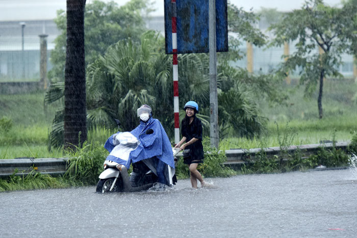 Hà Nội: Mưa sầm sập, gió quật mạnh, cây đổ, một số tuyến phố ngập sâu - Ảnh 14