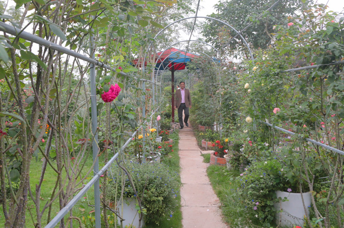 Người sở hữu trên 20.000 gốc hoa hồng quý hiếm tại Hà Nội - Ảnh 10