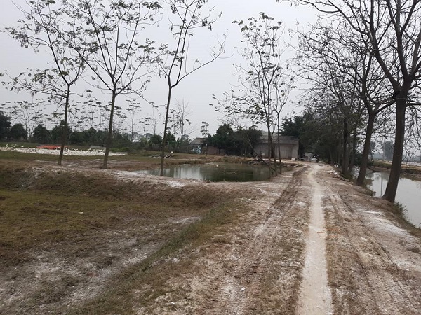 Hà Nội: Cảnh giới nghiêm ngặt tại ổ dịch cúm A/H5N6 - Ảnh 8