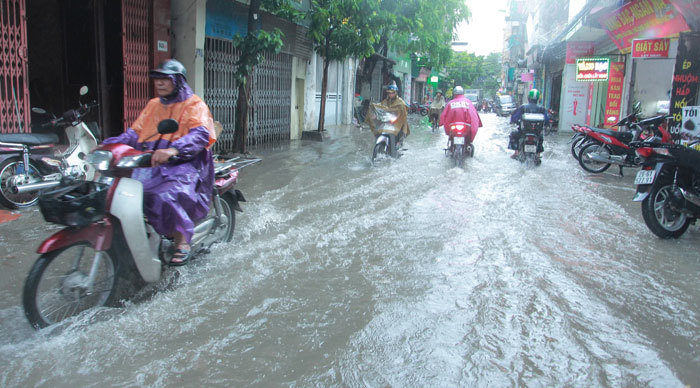 Hà Nội: Mưa sầm sập, gió quật mạnh, cây đổ, một số tuyến phố ngập sâu - Ảnh 11