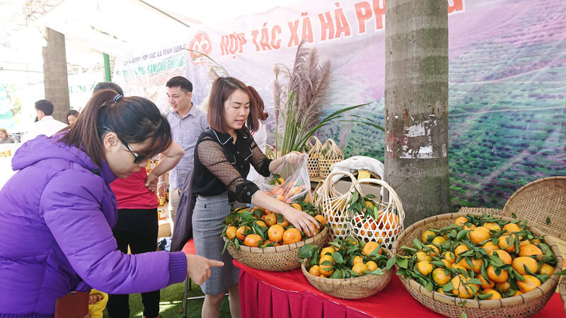 Siêu thị Co.opmart tổ chức Tuần lễ nông sản, thực phẩm tỉnh Hòa Bình năm 2019 - Ảnh 1