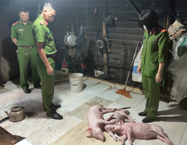 Hà Tĩnh: Phát hiện cơ sở mua lợn chết về quay bán cho khách - Ảnh 1