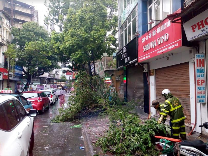 Hà Nội: Mưa dông khiến nhiều cây xanh gãy đổ, giao thông khó khăn - Ảnh 4