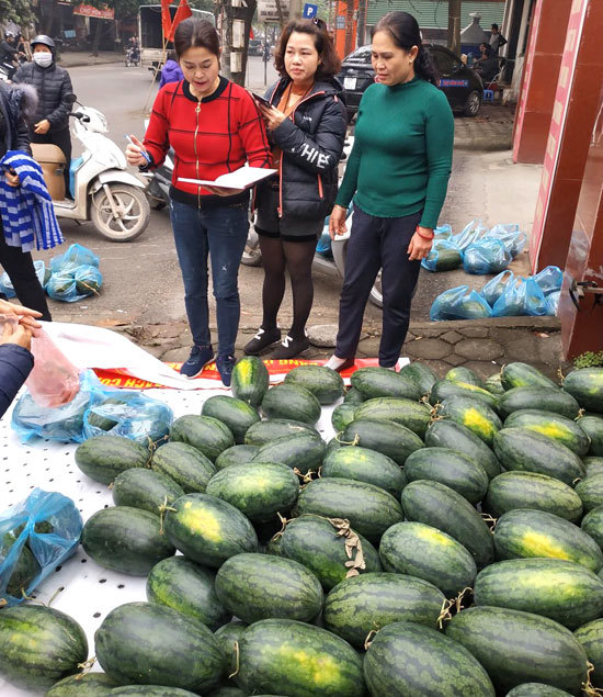 Hội Phụ nữ quận Hà Đông chung tay hỗ trợ nông dân Gia Lai tiêu thụ dưa hấu - Ảnh 2