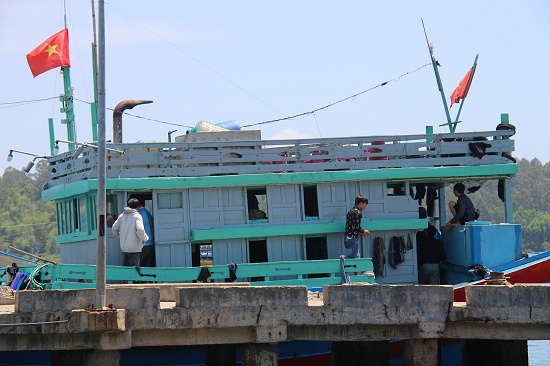 Quảng Ngãi: Giải cứu hơn 5 tấn hải sản cho ngư dân cứu nạn trên biển - Ảnh 2