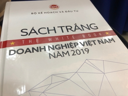 Sự kiện kinh tế tuần: Lần đầu công bố Sách trắng Doanh nghiệp Việt Nam - Ảnh 1