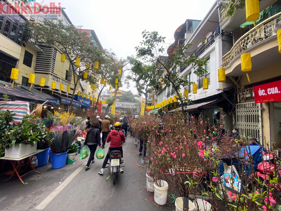 [Ảnh] Chợ hoa lâu năm ở Hà Nội tấp nập những ngày cận Tết Nguyên đán 2020 - Ảnh 14