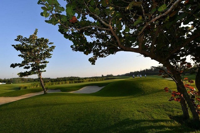 Thỏa sức chơi golf - Miễn phí nghỉ dưỡng tại FLC Sầm Sơn - Ảnh 2