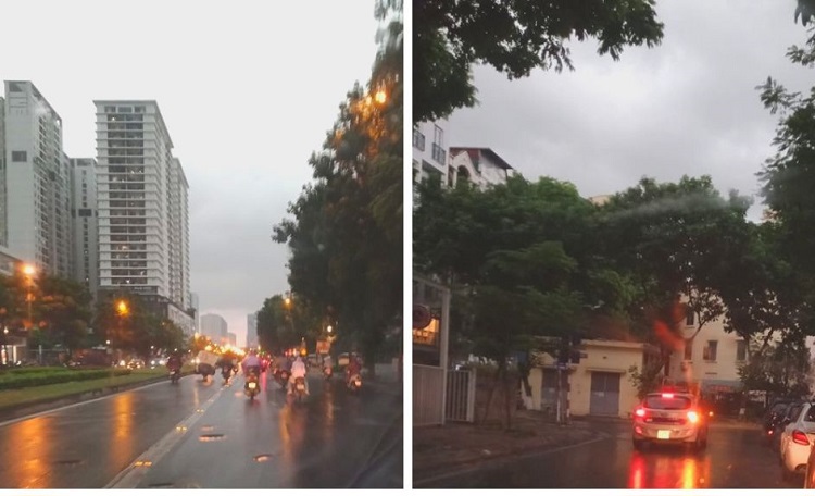 Hà Nội: Cây đổ trúng ô tô đang lưu thông trên phố Bùi Thị Xuân - Ảnh 1
