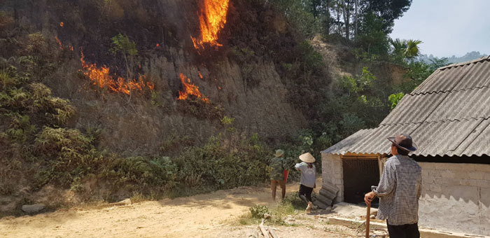 Hà Tĩnh: Cháy rừng lớn uy hiếp nhiều hộ gia đình - Ảnh 2