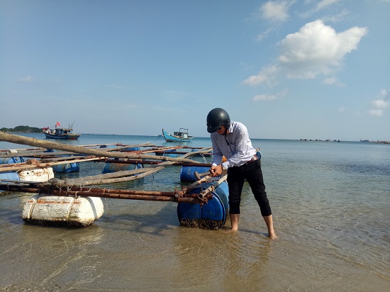 Quảng Ngãi: Chấm dứt việc nuôi thủy hải sản ở vùng biển thuộc Khu kinh tế Dung Quất - Ảnh 1