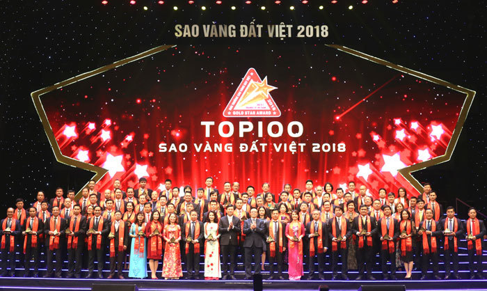 Các doanh nghiệp đạt giải thưởng Sao Vàng Đất Việt 2018 - Ảnh 3