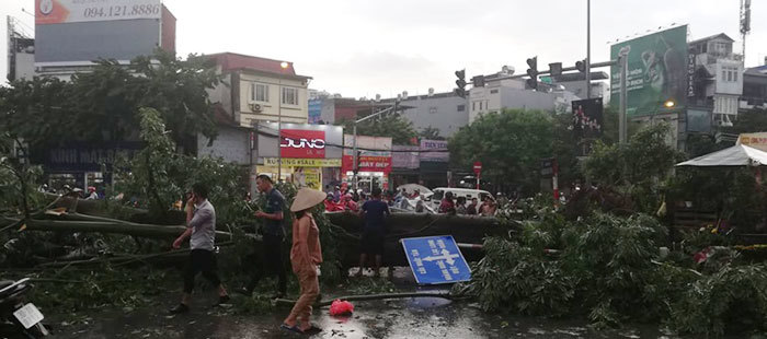 [Ảnh] Hà Nội: Mưa gió khủng khiếp, cây đổ hàng loạt khiến 1 người thiệt mạng - Ảnh 13