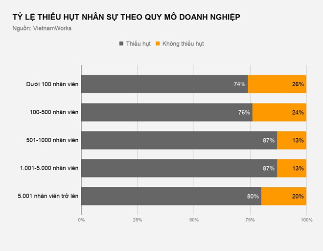 Gần 80% doanh nghiệp Việt thiếu hụt nhân sự - Ảnh 1