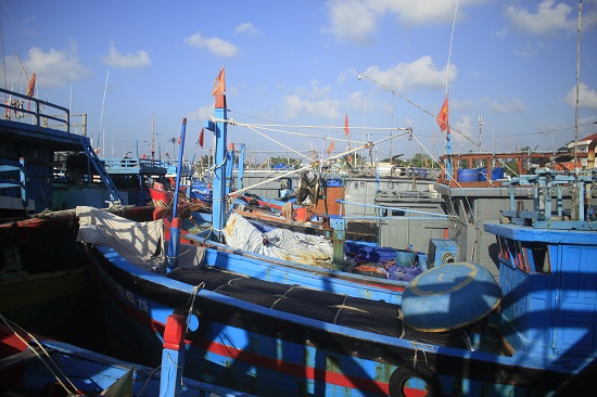 Quảng Ngãi: Cảng neo trú quá tải, tàu bí đường ra - Ảnh 2