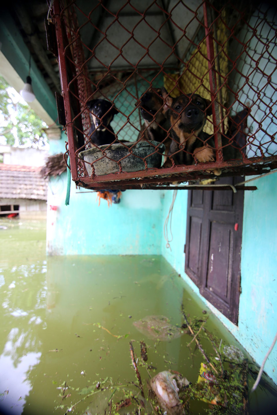 Ngập lụt kéo dài, người dân xóm Bèo kêu trời vì rác gây ô nhiễm nặng - Ảnh 4