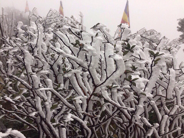 Băng tuyết phủ trắng đỉnh Fansipan, ngày mai trời bắt đầu ấm dần - Ảnh 4