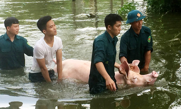 Ngập lụt ngoại thành Hà Nội: Tìm giải pháp cho vùng rốn lũ - Ảnh 2