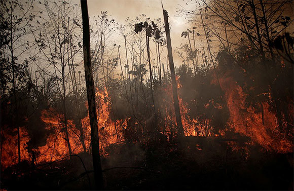 "Lá phổi thế giới" chìm trong biển lửa: Những hình ảnh và con số báo động - Ảnh 2