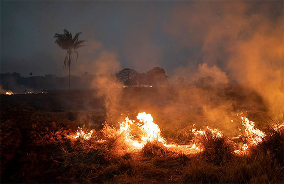 "Lá phổi thế giới" chìm trong biển lửa: Những hình ảnh và con số báo động - Ảnh 1