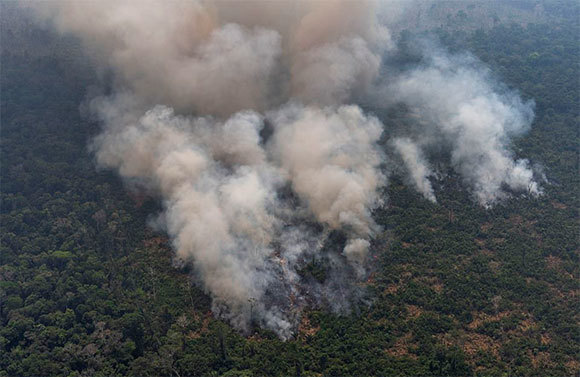 "Lá phổi thế giới" chìm trong biển lửa: Những hình ảnh và con số báo động - Ảnh 3