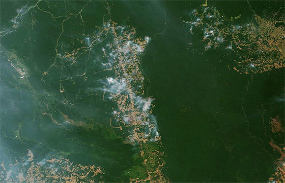 "Lá phổi thế giới" chìm trong biển lửa: Những hình ảnh và con số báo động - Ảnh 7