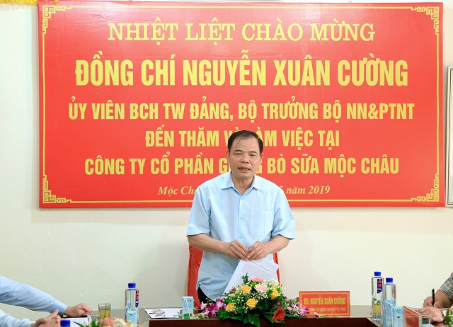 Phát triển Mộc Châu trở thành "suối vàng trắng" của tỉnh Sơn La - Ảnh 1
