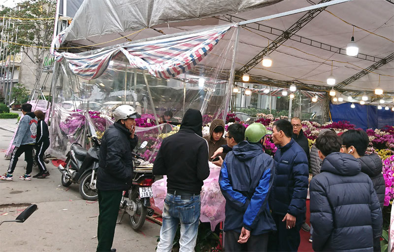 Hà Nội: Nhộn nhịp chợ hoa Xuân Canh Tý 2020 - Ảnh 5