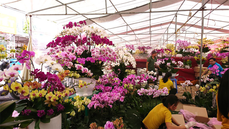 Hà Nội: Nhộn nhịp chợ hoa Xuân Canh Tý 2020 - Ảnh 6