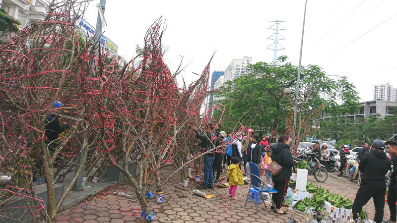 Hà Nội: Nhộn nhịp chợ hoa Xuân Canh Tý 2020 - Ảnh 3
