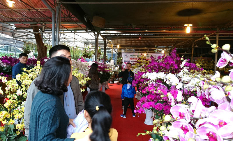 Chợ hoa Vạn Phúc (Hà Đông) tràn ngập sắc hoa trước Rằm tháng Chạp - Ảnh 3