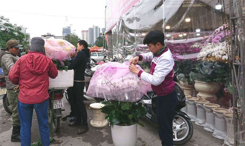 Hà Nội: Nhộn nhịp chợ hoa Xuân Canh Tý 2020 - Ảnh 7