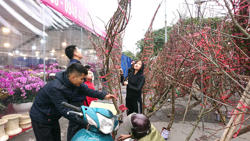 Hà Nội: Nhộn nhịp chợ hoa Xuân Canh Tý 2020 - Ảnh 2