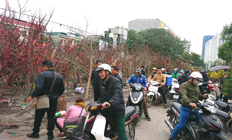 Hà Nội: Nhộn nhịp chợ hoa Xuân Canh Tý 2020 - Ảnh 1