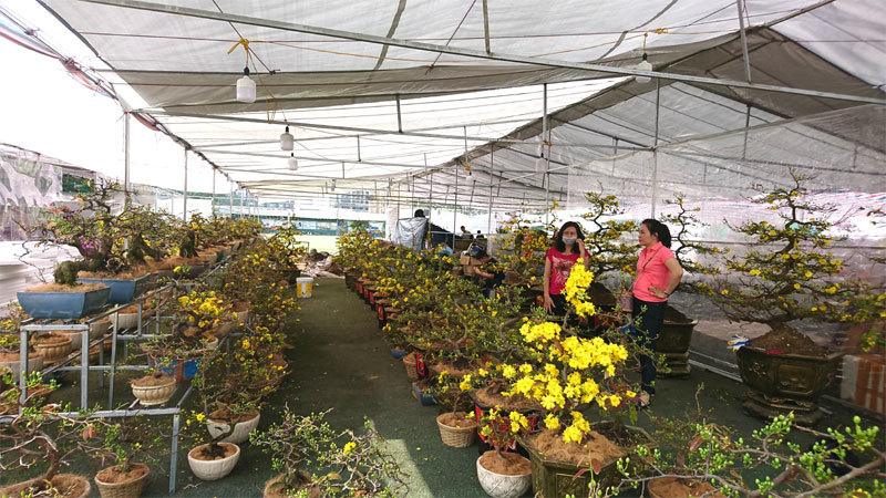 Hà Nội: Nhộn nhịp chợ hoa Xuân Canh Tý 2020 - Ảnh 13