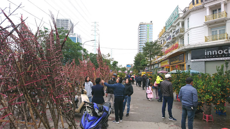 Hà Nội: Nhộn nhịp chợ hoa Xuân Canh Tý 2020 - Ảnh 4