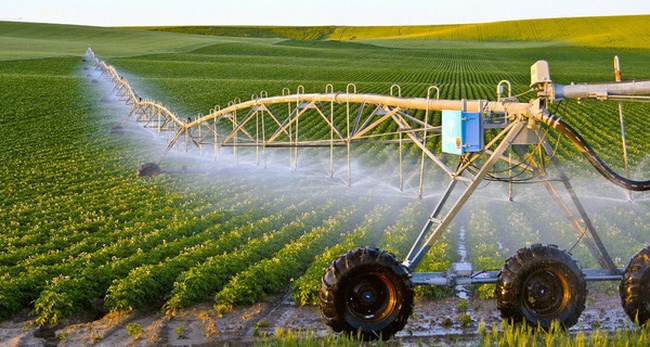 Công nghệ nông nghiệp - ngành học mới thời 4.0 - Ảnh 1