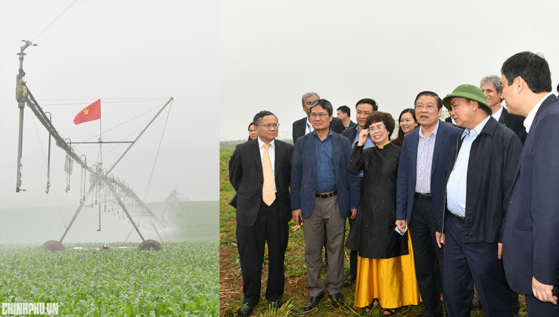 Thủ tướng dự khánh thành nhà máy nước tinh khiết, hoa quả, thảo dược lớn nhất miền Trung - Ảnh 4