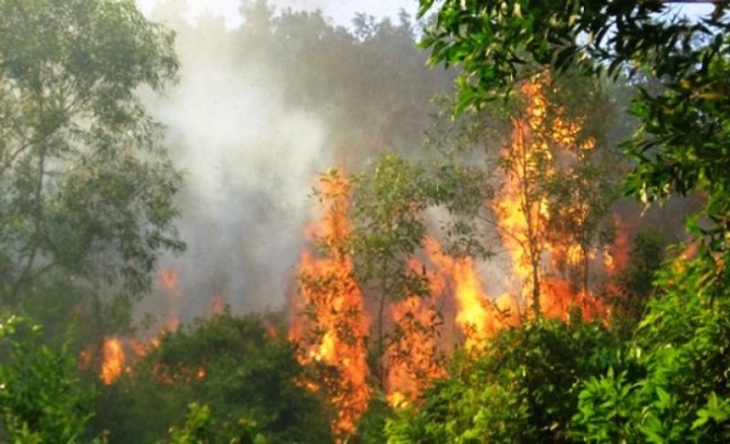 Hanh khô cháy hơn 20 ha rừng - Ảnh 1