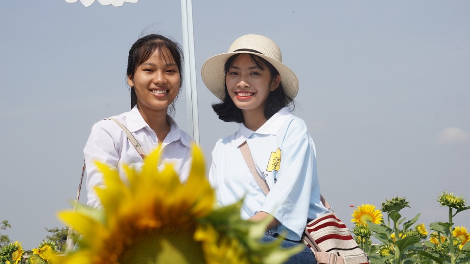 TP Hồ Chí Minh: Vườn hoa hướng dương trở lại phục vụ du khách dịp 30/4 - Ảnh 5