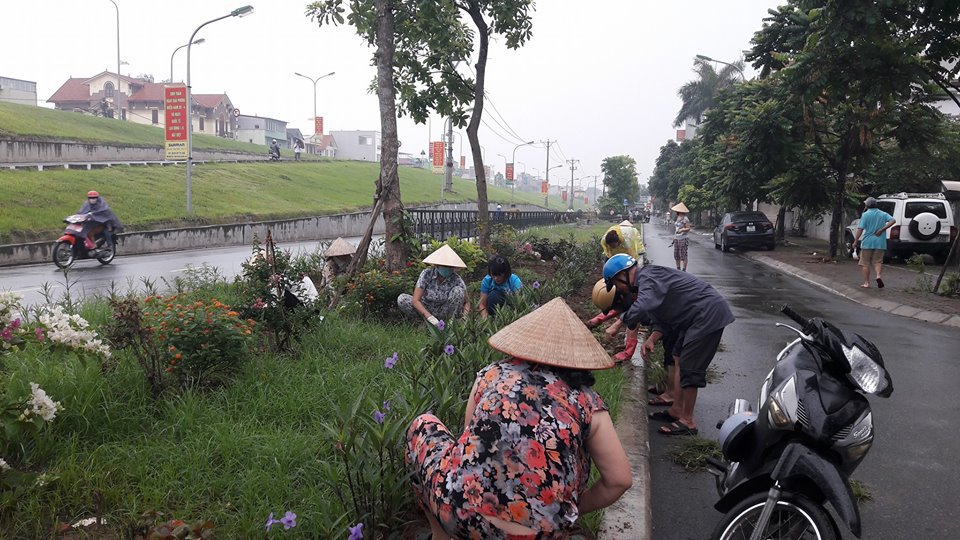 Hà Nội: Cần nhân rộng mô hình xã hội hóa trồng cây xanh tại các phường - Ảnh 3