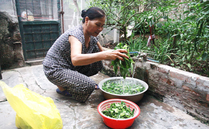 Giải bài toán nước sạch cho ngoại thành - Ảnh 1