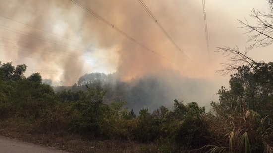 Đường dây 500 kV bị ảnh hưởng do cháy rừng, EVN báo cáo Thủ tướng - Ảnh 2