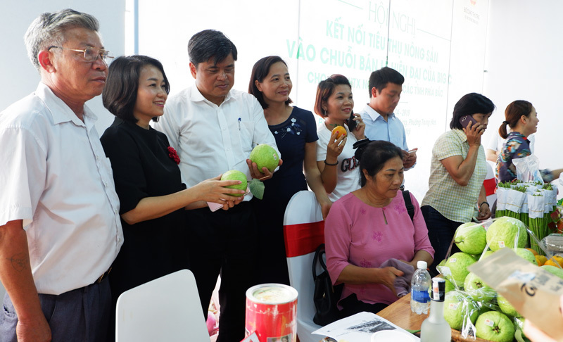 150 Hợp tác xã trực tiếp kết nối tiêu thụ nông sản vào hệ thống siêu thị Big C Việt Nam - Ảnh 2