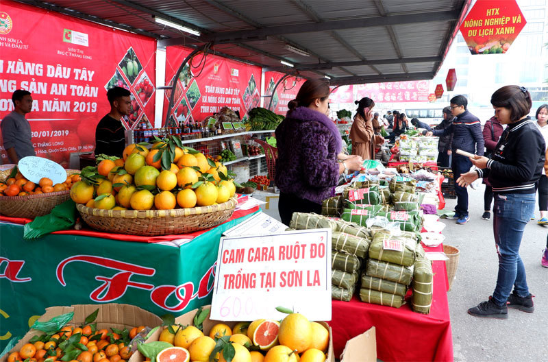 Tuần hàng dâu tây Sơn La lần đầu tiên được tổ chức tại Hà Nội - Ảnh 8