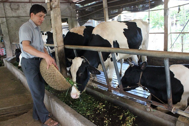 Quỹ Hỗ trợ nông dân Hà Nội: Giải ngân 104 tỷ đồng cho hơn 5.000 hộ vay vốn - Ảnh 2