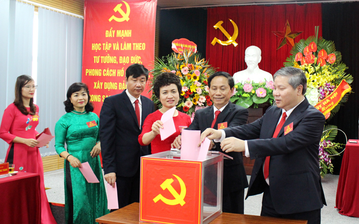 Ông Nguyễn Đức Hòa tiếp tục giữ chức Bí thư Đảng ủy Bảo hiểm xã hội Hà Nội - Ảnh 1