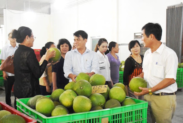 Việt Nam đề nghị sớm được xuất khẩu quả bưởi sang thị trường Hoa Kỳ - Ảnh 1