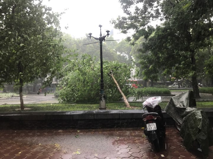 Hà Nội: Mưa sầm sập, gió quật mạnh, cây đổ, một số tuyến phố ngập sâu - Ảnh 18